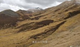 途观西藏旅游最新爆料,途观带你领略神秘高原风光