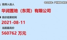 东莞国贸爆料最新消息今天,今日热点事件深度解析！”
