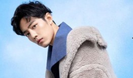 肖战和何炅最新爆料,揭秘娱乐圈幕后故事与精彩瞬间